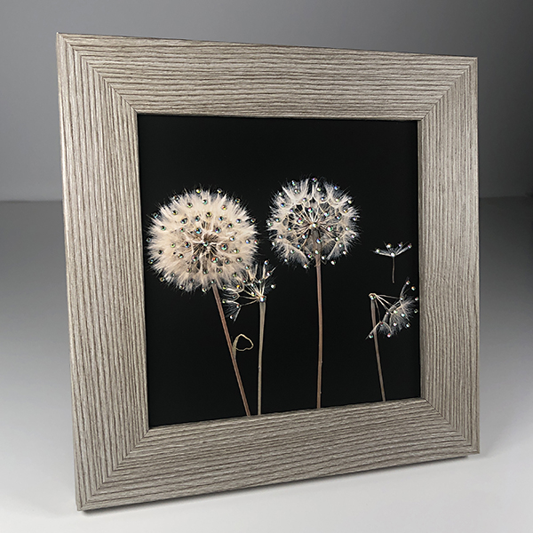 Four Dandelions print 6"x6"